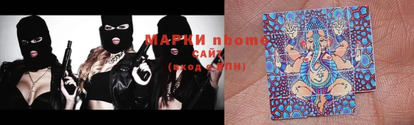 сатива Коряжма