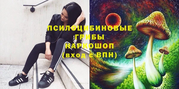 apvp Корсаков
