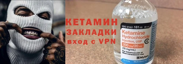 сатива Коряжма