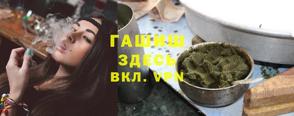 сатива Коряжма