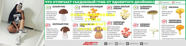 сатива Коряжма
