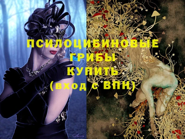 apvp Корсаков
