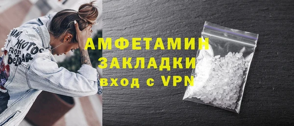 сатива Коряжма