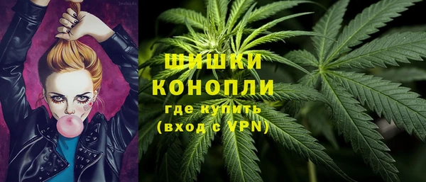 сатива Коряжма