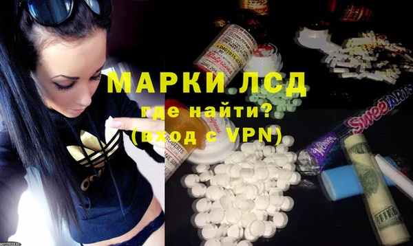 сатива Коряжма