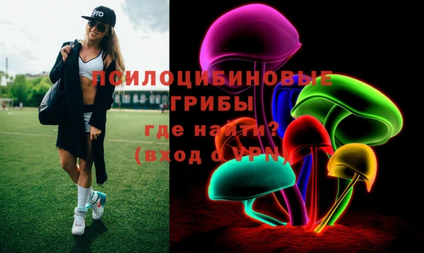 apvp Корсаков