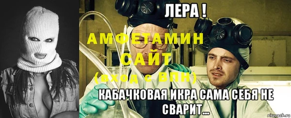 сатива Коряжма